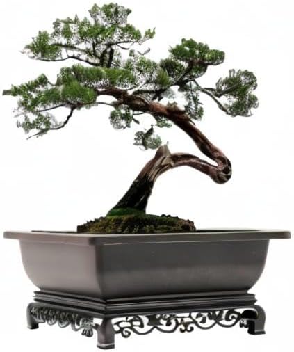 Cotta Planters Bonsai Pot – 2-Pack 11.5 Inch Bonsai Training Pot with Eelegant Stand – Antique Brown Bonsai Pots with Mesh Drainage – Luxurious Bonsai Tree Pots Indoor Made with Recycled Plastic