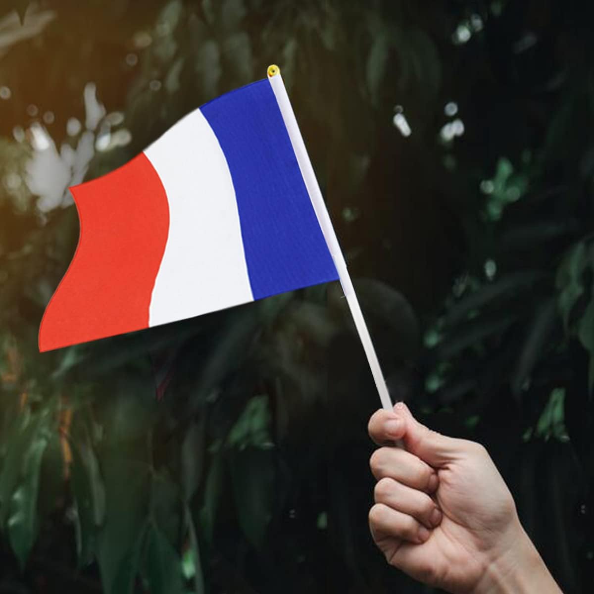 France Flag French Flag, Small Mini Handheld France Flags on Stick, Ideal for Party Parades Sports Events Patriotic Festival Decorations
