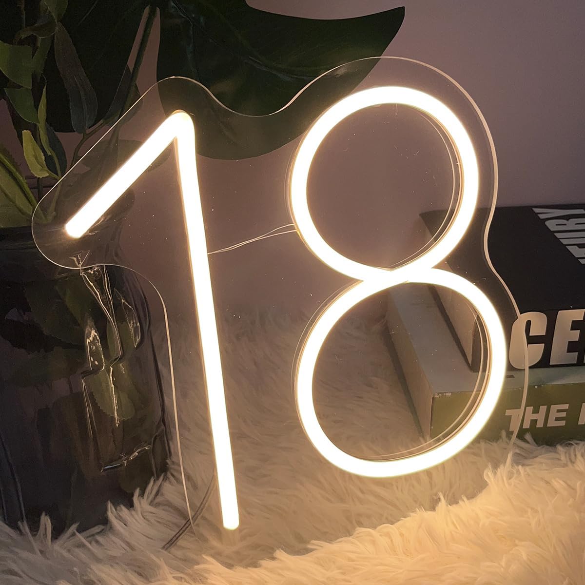 18 Year Old Neon Sign for First Birthday Party Neon Sign Custom Light Up Sign Indoor Bedroom Home Decor LED Neon Signs Large Backdrop Flex Christmas Living Room Girls Boys Gift,Warm White 25Ă24.8 CM