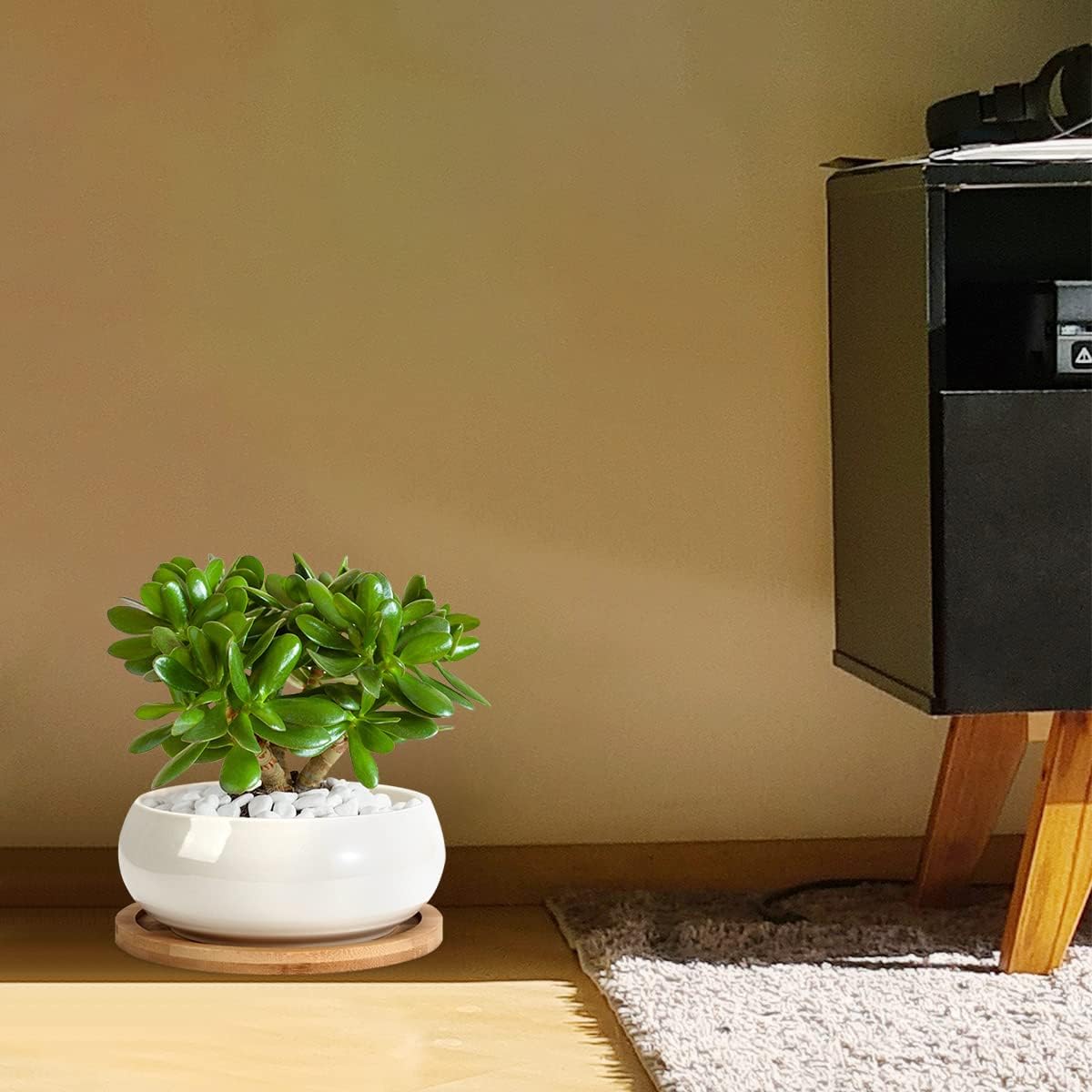 ZOUTOG 2 Pack Succulent Pots, 6 inch Ceramic Planters for Indoor Plants with Bamboo Tray, Pots with Drainage, Seeds& Plants Not Included