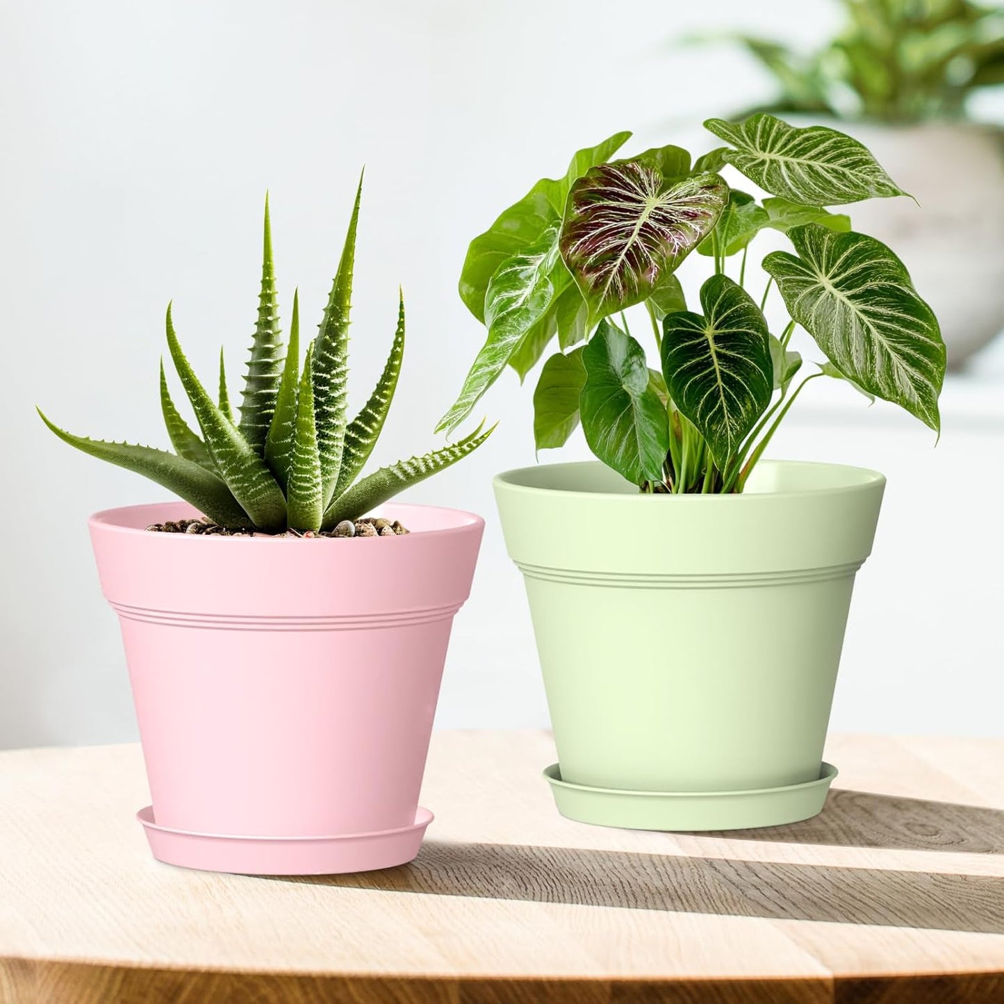 5 Inch Plastic Plant Pots with Drainage Holes and Trays – 6 Pack Small Nursery Pots for Indoor & Outdoor House Plants and Flowers, Seedling Starter Planters, Colorful