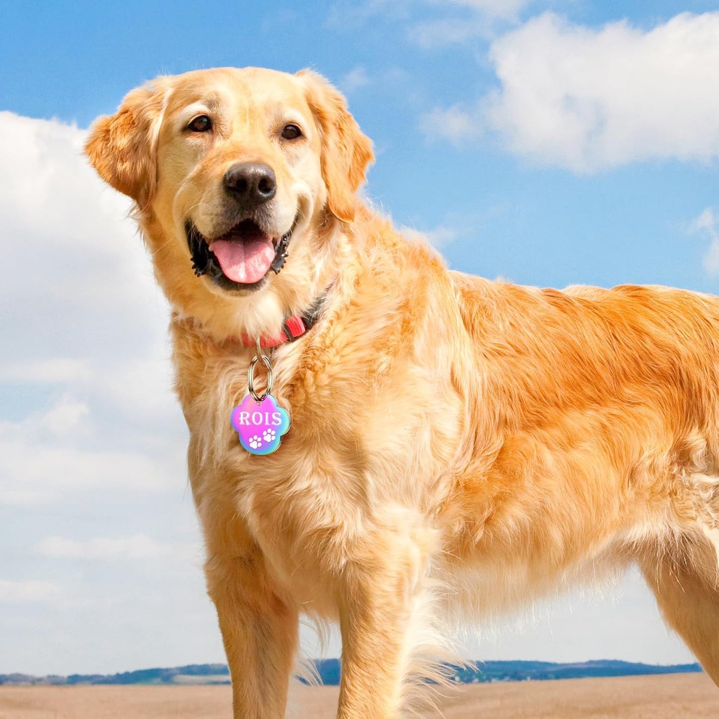 Dog Tags Engraved for Pets - YEHANTI Personalized Dog Tags with Lovely Icons, Durable Stainless Steel Pet ID Tags for Small Large Dogs Cats, Custom Dog Name Tags Engraved on Both Sides (Paw)