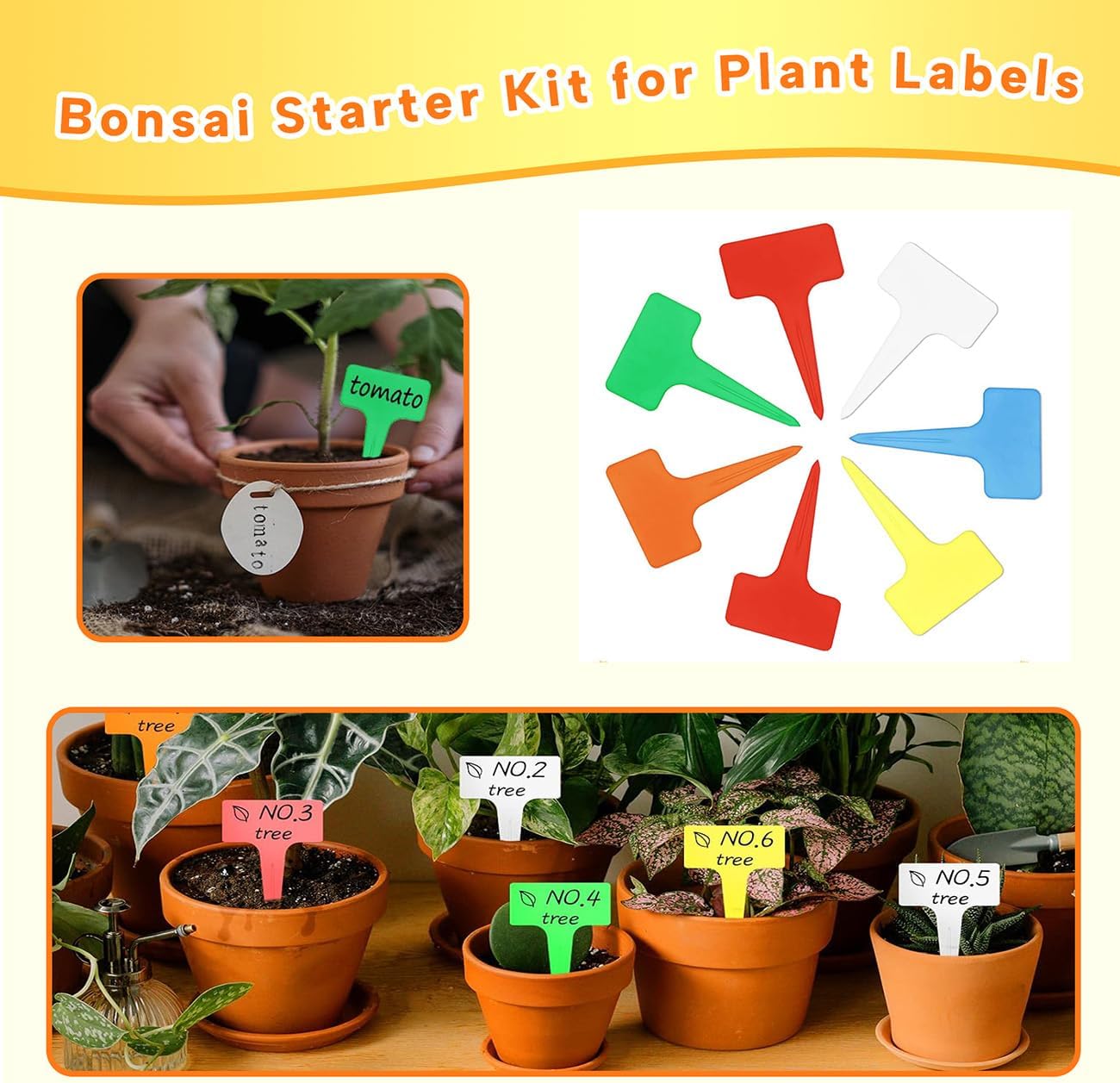 Bonsai Tools Set for Beginners, Bonsai Tree Kit with Training Wire, Scissors, Pruning Shears, Repotting Kit, Indoor Plant Tools Starter Kit (Orange with saws)