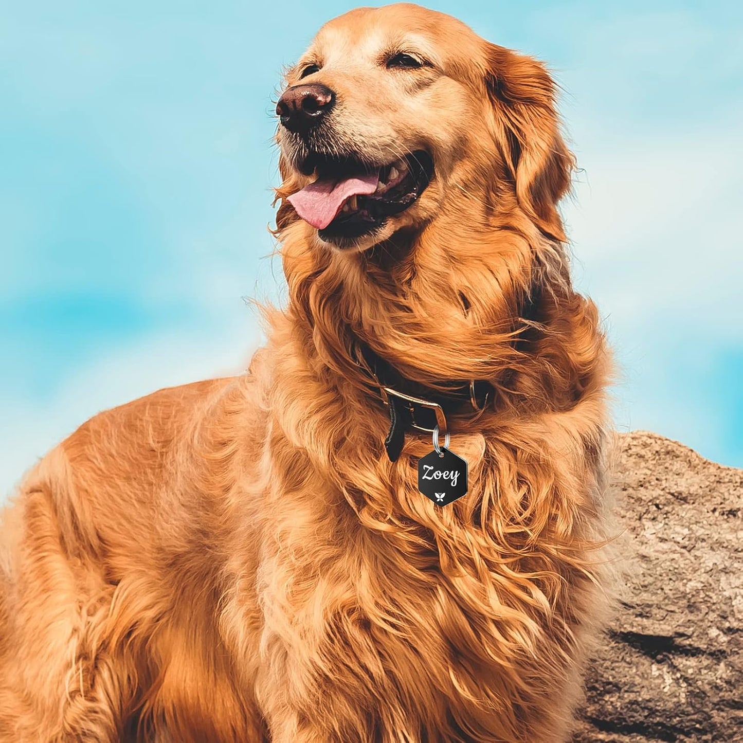 YEHANTI Personalized Dog Tags Engraved for Pets - Stainless Steel Custom Dog Cat Tag with Various Cute and Beautiful Icons, Double Sided Engraved Pet ID Tags Dog Name Tag, Hexagon