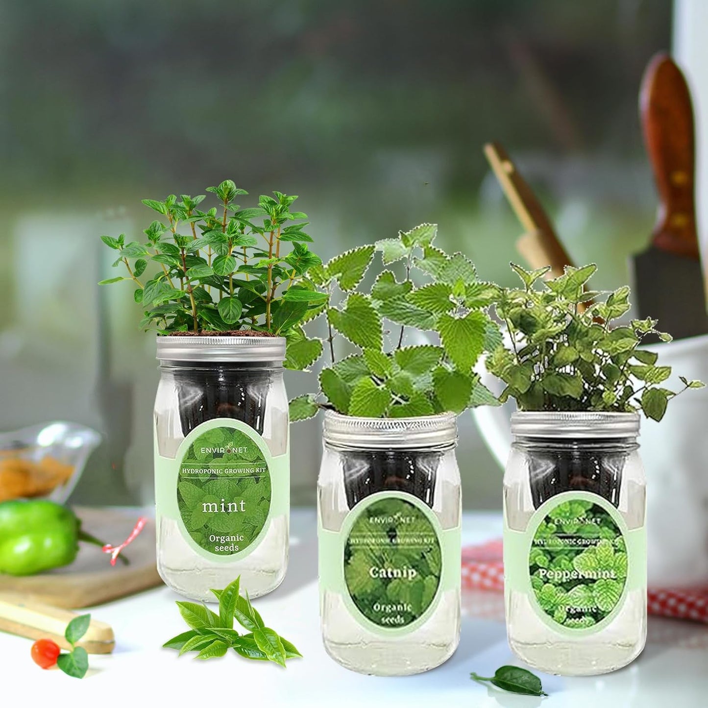 Hydroponic Herb Growing Kit Set, Self-Watering Mason Jar Herb Garden Starter Kit Indoor, Grow Your Own Herbs from Seeds (Mint, Peppermint & Catnip)
