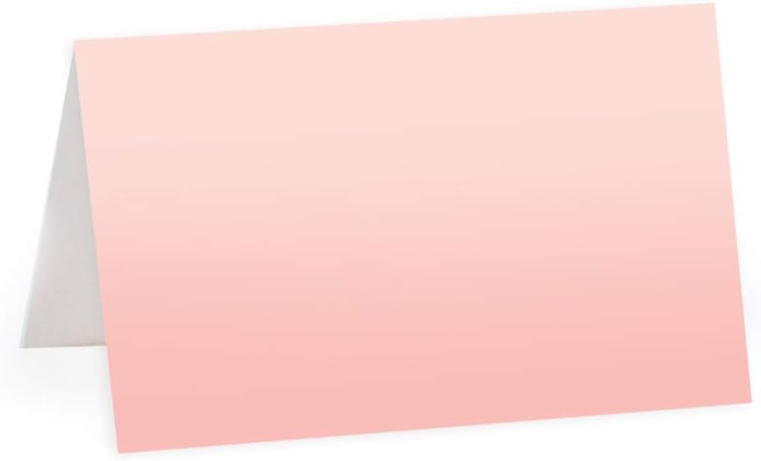 Andaz Press Blush Pink Rose Elegant Party Collection, Blank Place Cards, 20-Pack, Placecards Food Dessert Table Tent Favors Decor