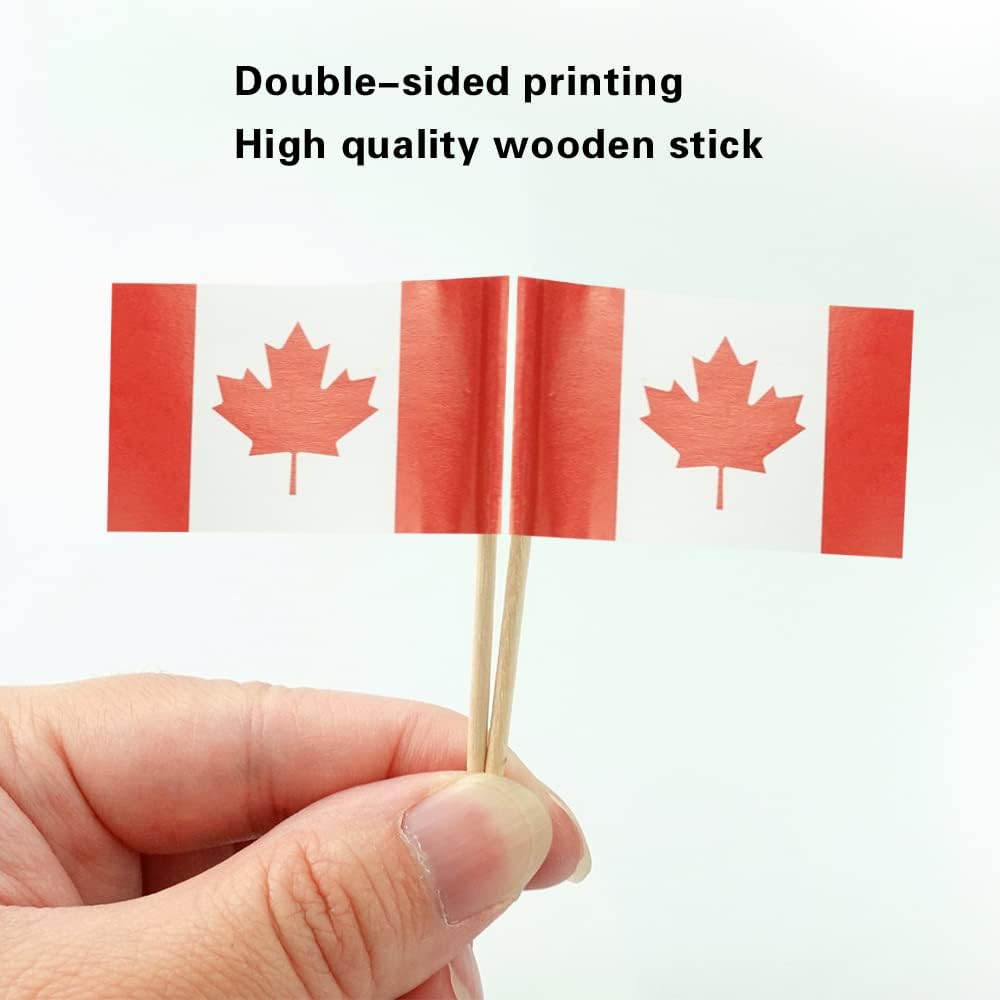 Canada Flag Canadian Flag, Small Mini Canada Toothpick Flags for Food, Cupcakes, Cocktails, Appetizers, Bar Party Decorations