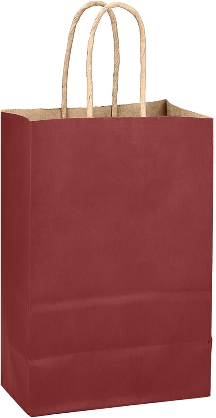 qiqee Brown Red Gift Bag with Handles Bulk 24Pcs Paper Bags -8.3"x6"x3. 15" Party Favor Bags - Solid Color