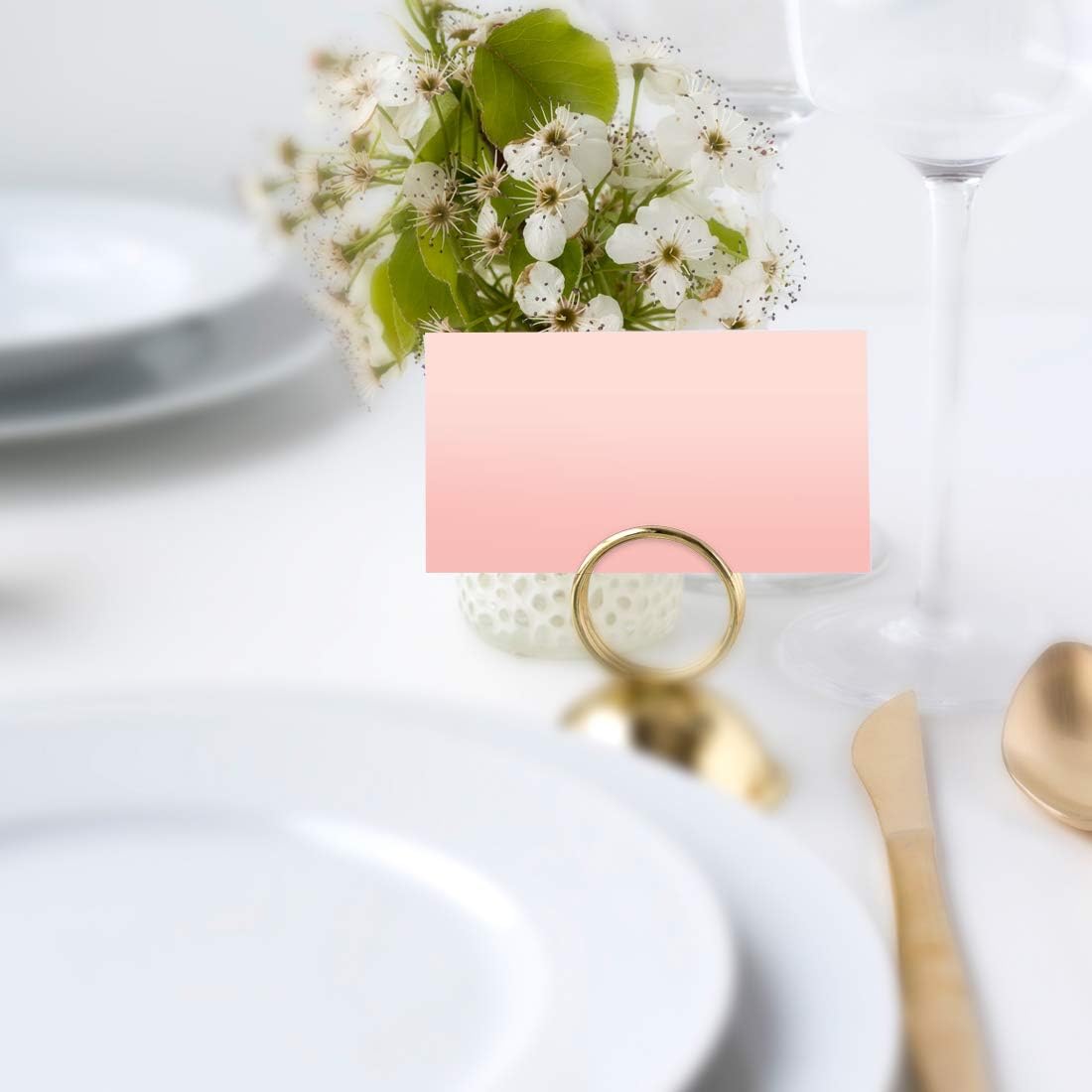 Andaz Press Blush Pink Rose Elegant Party Collection, Blank Place Cards, 20-Pack, Placecards Food Dessert Table Tent Favors Decor