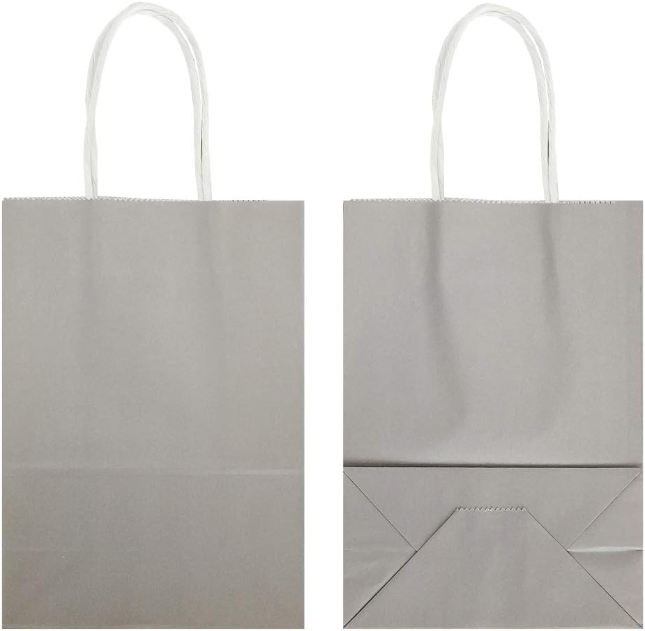 25 PCS Small Gift Bags Flat Gray Kraft Paper Bags with Handles for Party Favor (8.2 x 6 x 3.1 In)