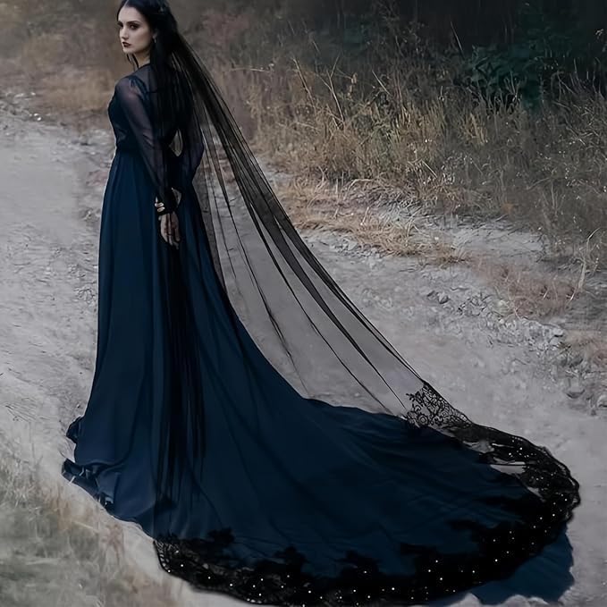 Bridal Veil long Cathedral Length Lace Sequins Edge 1 Tier Wedding Veil with Metal Comb for Brides