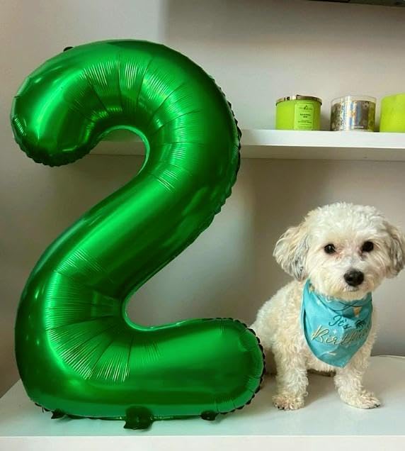 Green 40 Inch Large Number 25 52 Birthday Balloon, 25 52 Birthday Decorations, Foil 25 52 Mylar Helium Numbers Balloons Girl Boy Anniversary Party Supplies