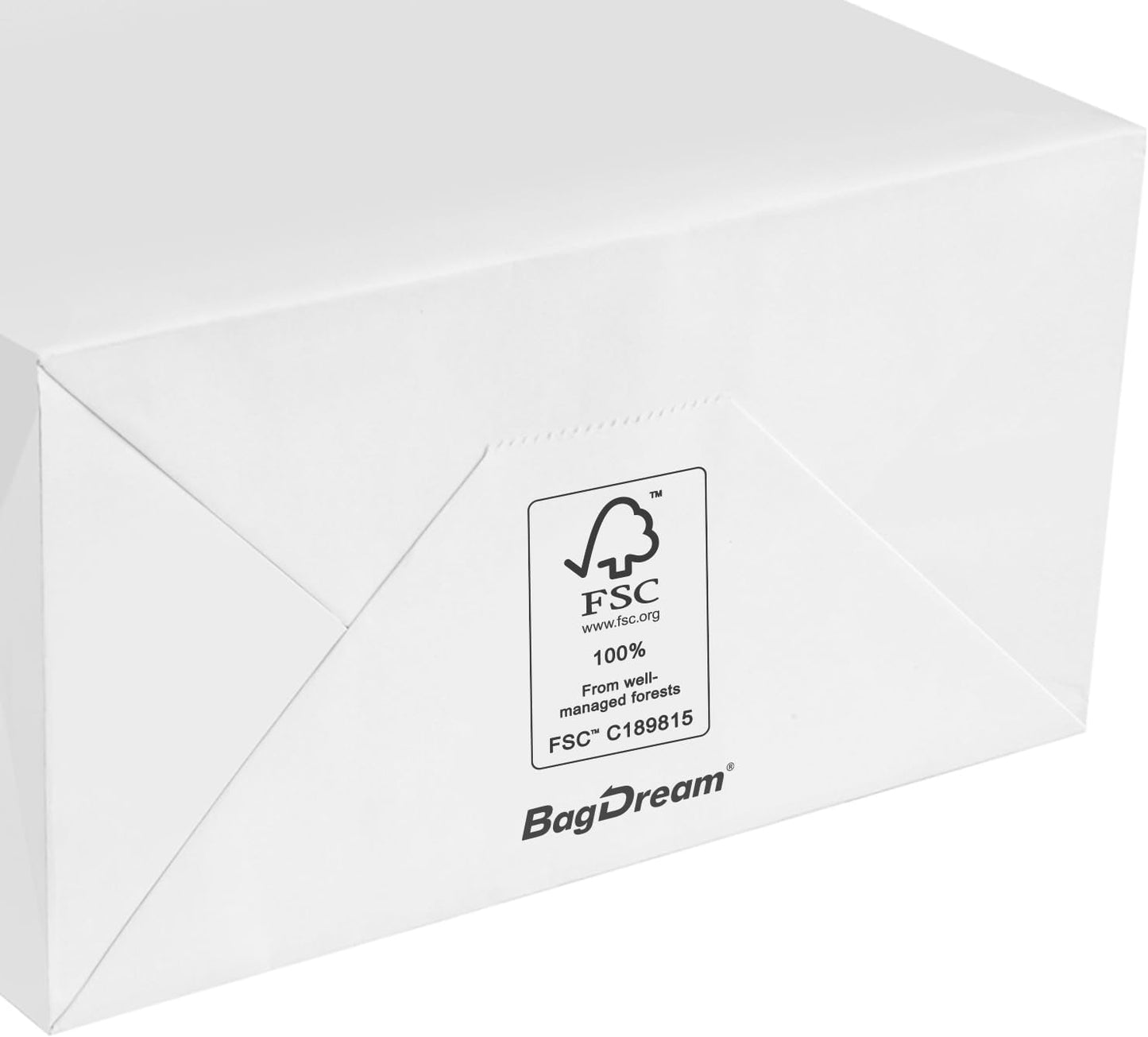 BagDream Paper Shopping Bags 10x5x13 100Pcs White Kraft Gift Bags with Handles Bulk, for Shopping, Merchandise, Retail, Party Favor, Gifts, Take-out, Recyclable Paper Sacks