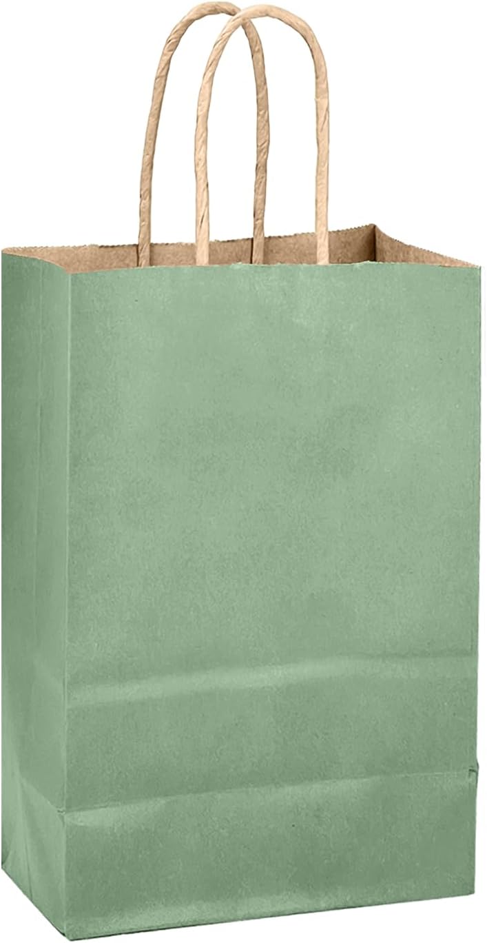 qiqee Aqua Green Gift Bag with Handles Bulk 24Pcs Paper Bags -8.3"x6"x3. 15" Party Favor Bags - Solid Color