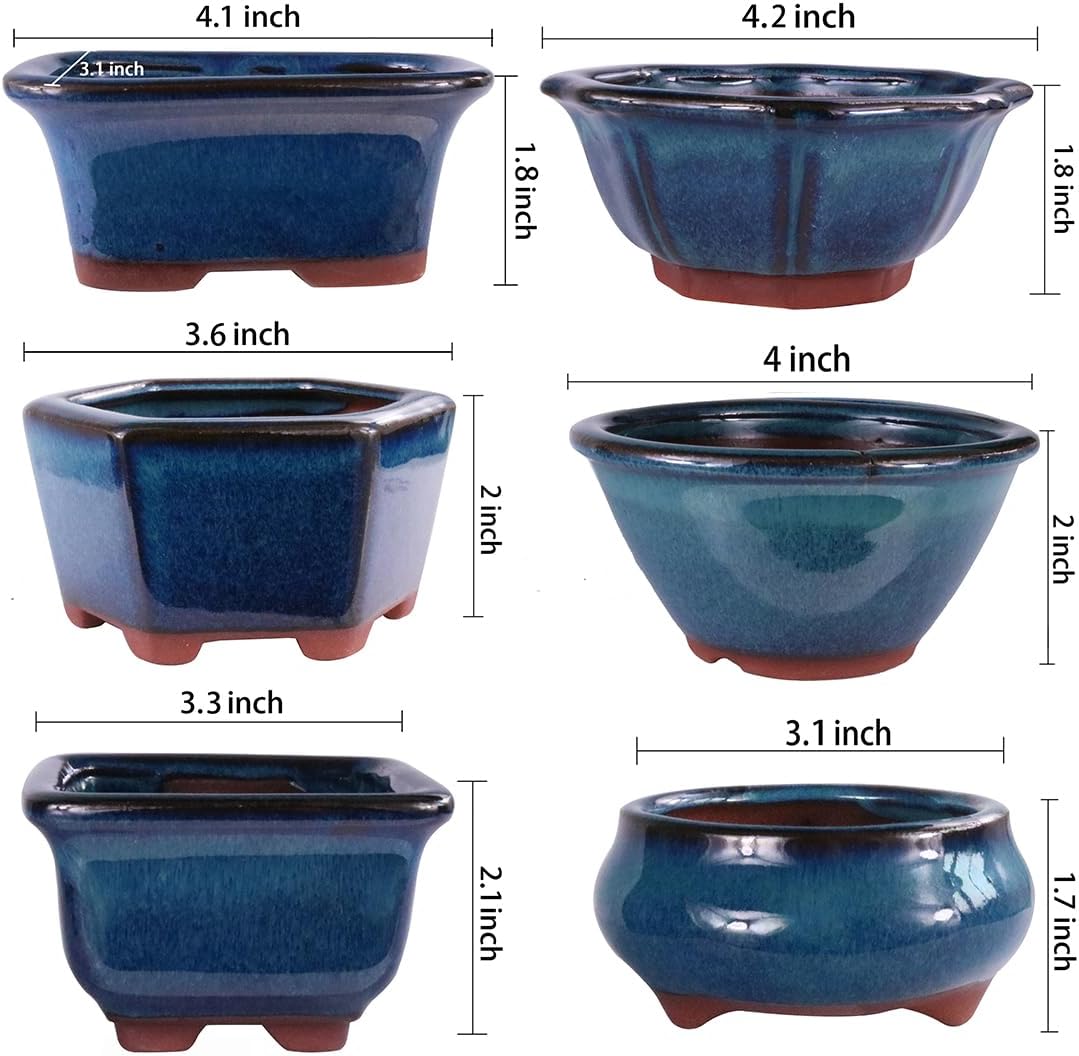 MUZHI 6PACK Glazed Bonsai Pot Planter 3" 4” Small Succulent Pots, Yixing Zisha Decorative Mame Bonsai Training Pot or Small Flower Cactus Starter Growing Planters Containers Blue