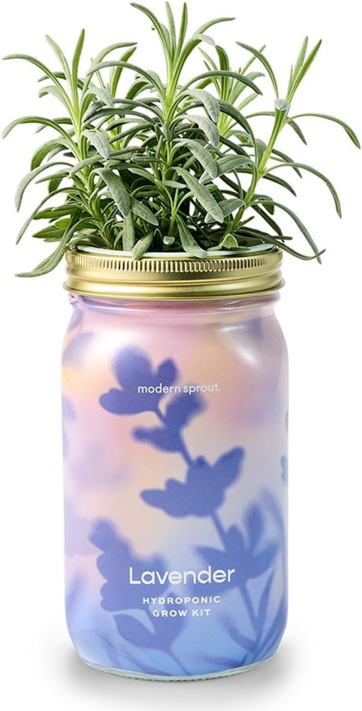 Modern Sprout Mason Garden Jar - Self-Watering Hydroponics Growing System Kit with Organic Herb Seeds - Jar Planter for Indoor Herb Garden - Seed Starter Kit - Home Decor & Gifting - Lavender