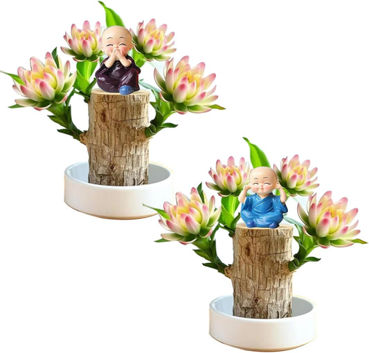 Brazilian Lucky Wood Plant Kit, Lucky Wood Doesn't Need to Wait to Sprout, Suitable for Home Office Desk Decor, Natural Air Cleaner (2F)