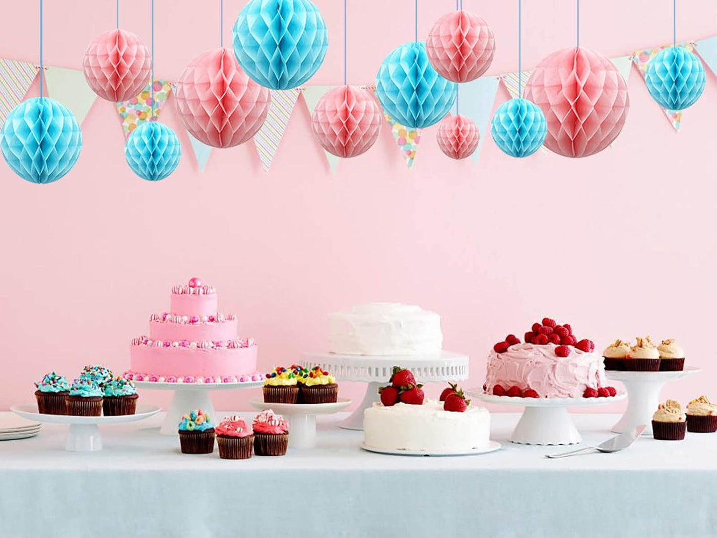 ZOOYOO 12Pcs 6" 10" Honeycomb Balls Decorations Hanging Tissue Paper Pom Poms for Gender Reveal,Baby Shower,Birthday Party,Baptism,Wedding,Nursery & Home Decor(Pink Blue)