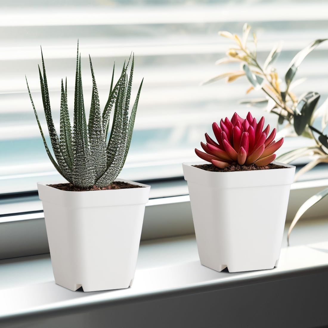 BTPLASTIK 120 Pcs Nursery Pots 3.5 Inch, Plastic Seed Starting Pot with Drainage Holes, Small Sturdy Seedling pots for Planting, Cuttings (White)