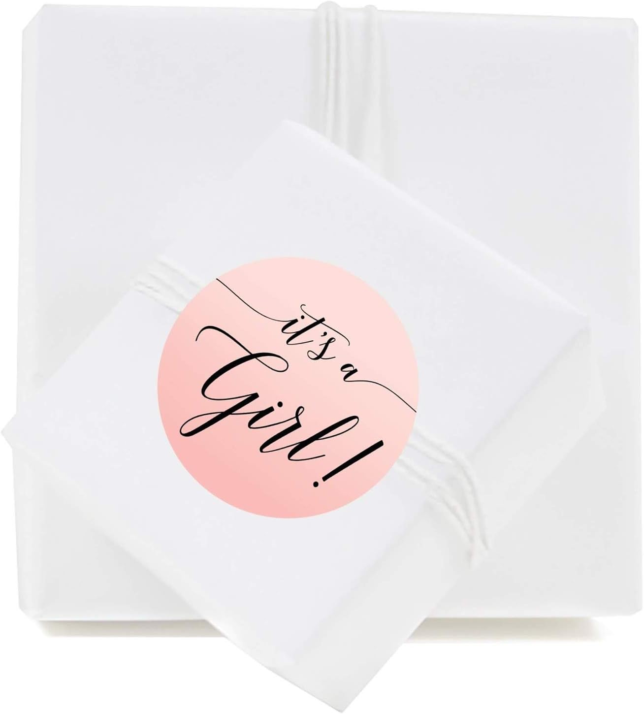 Andaz Press Blush Pink Rose Elegant Party Baby Shower Collection, Round Circle Label Stickers, It's a Girl!, 40-Pack, Favors Decor Envelope Seals