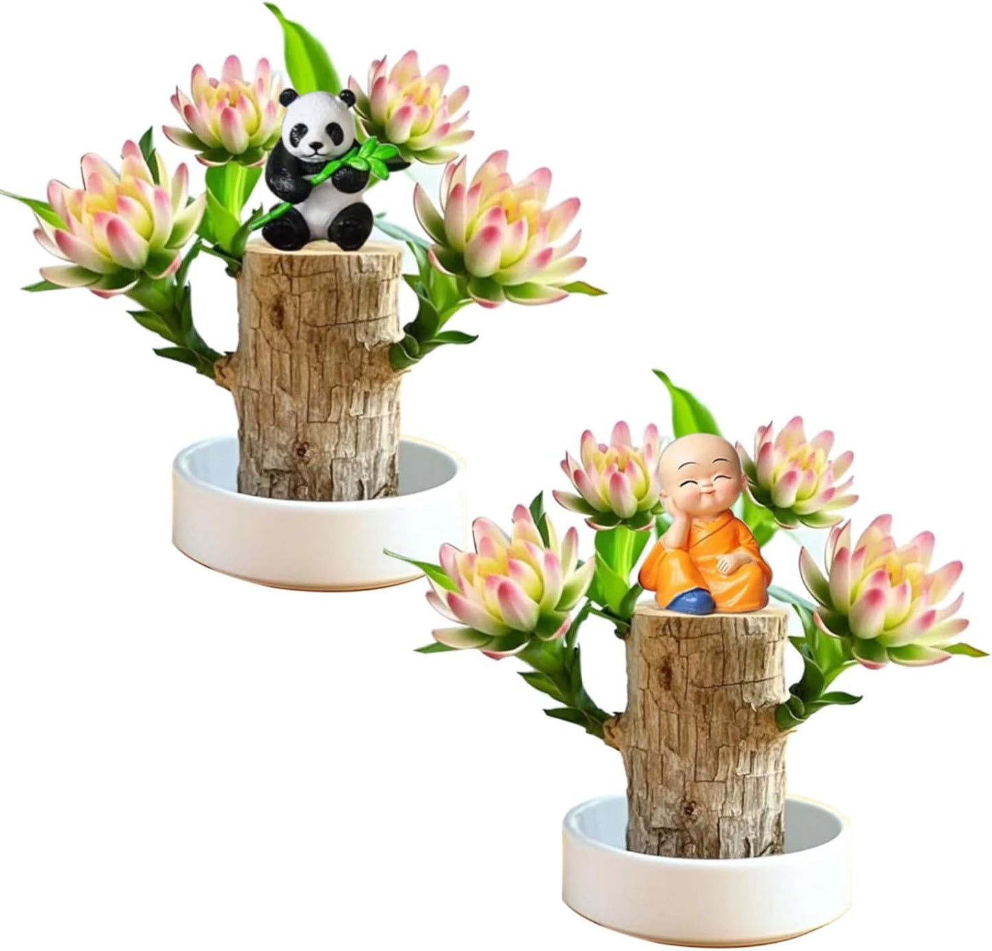 Brazilian Lucky Wood Plant Kit, Lucky Wood Doesn't Need to Wait to Sprout, Suitable for Home Office Desk Decor, Natural Air Cleaner (2C)