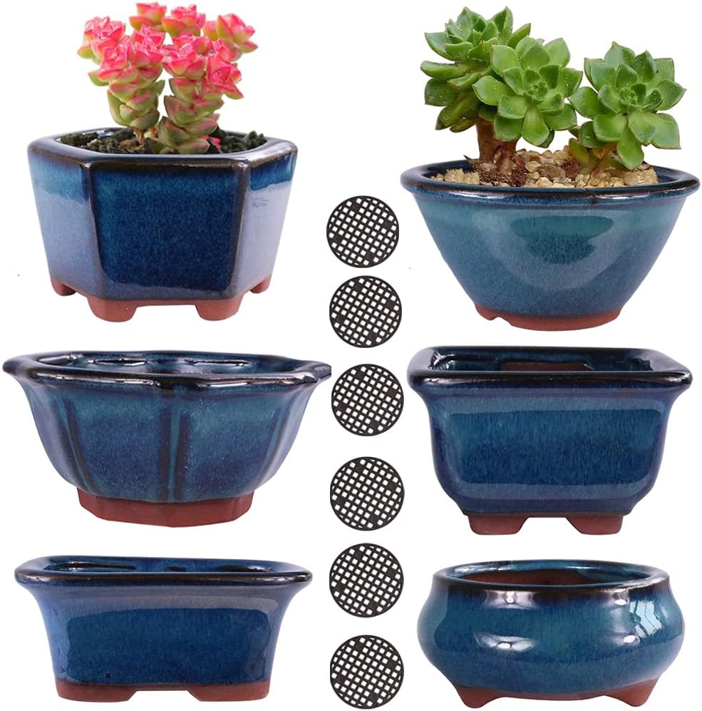MUZHI 6PACK Glazed Bonsai Pot Planter 3" 4” Small Succulent Pots, Yixing Zisha Decorative Mame Bonsai Training Pot or Small Flower Cactus Starter Growing Planters Containers Blue