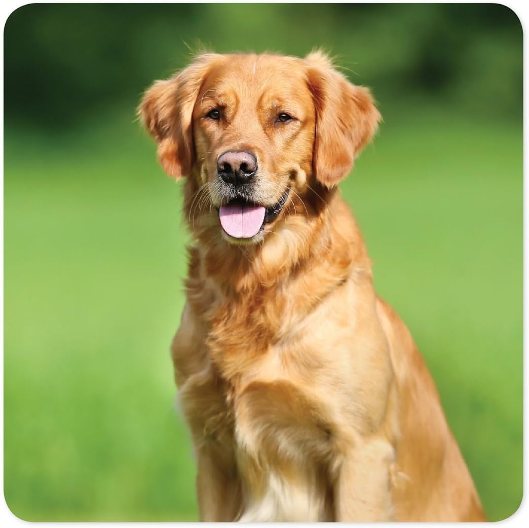 Andaz Press Bulk Photo Personalized Gift and Party Favors Collection, Favor Boxes, Custom Photo, 20-Pack