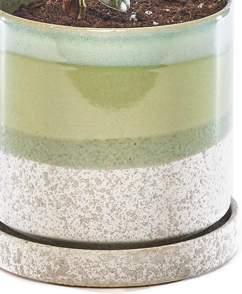 CHIVE ‘Minute’ Ceramic Planter Pot — Cute 5” Colorful Succulent Pots for Indoor & Outdoor House Plants — Beautiful Modern Farmhouse Kitchen Decor — Green Cement