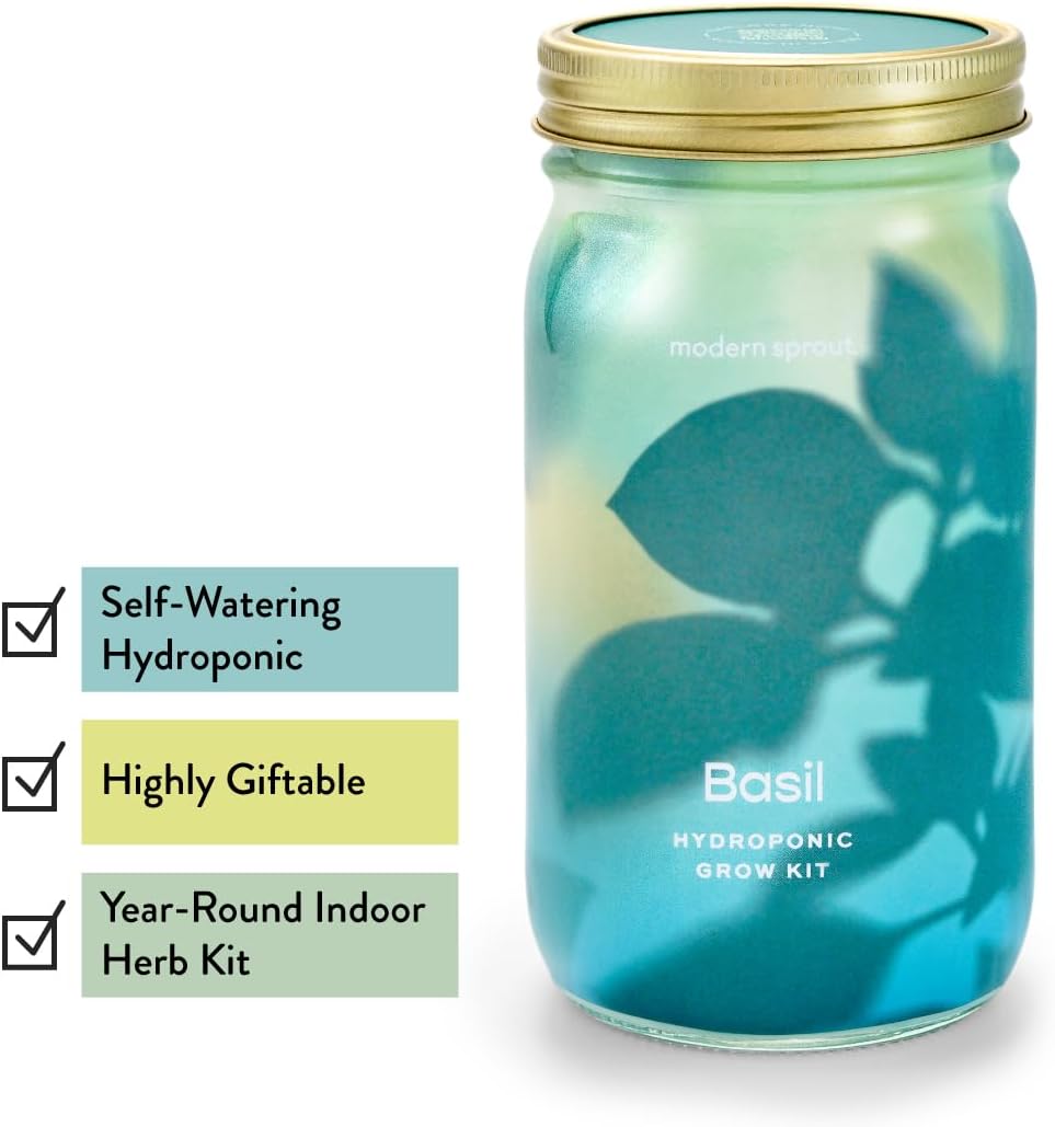 Modern Sprout New & Improved Mason Jar Grow Set, Indoor Herb Garden, Seed Starter Set, Organic Seeds, Hydroponic Growing (Basil + Lavender)