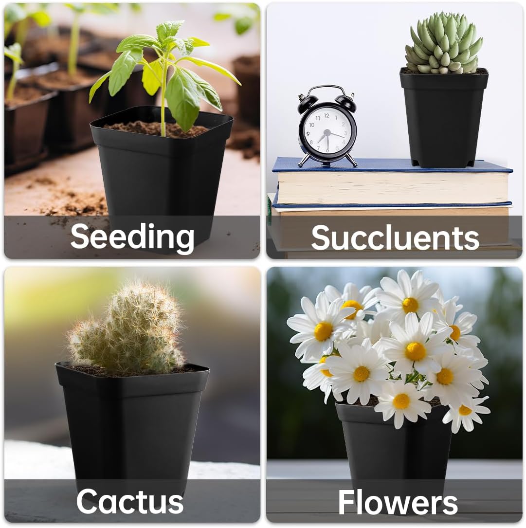 80 Pcs Nursery Pots 4 Inch, Plastic Seed Starting Pot with Drainage Holes, Sturdy Seedling pots for Planting, Succulents, Transplanting, Cuttings (Black)
