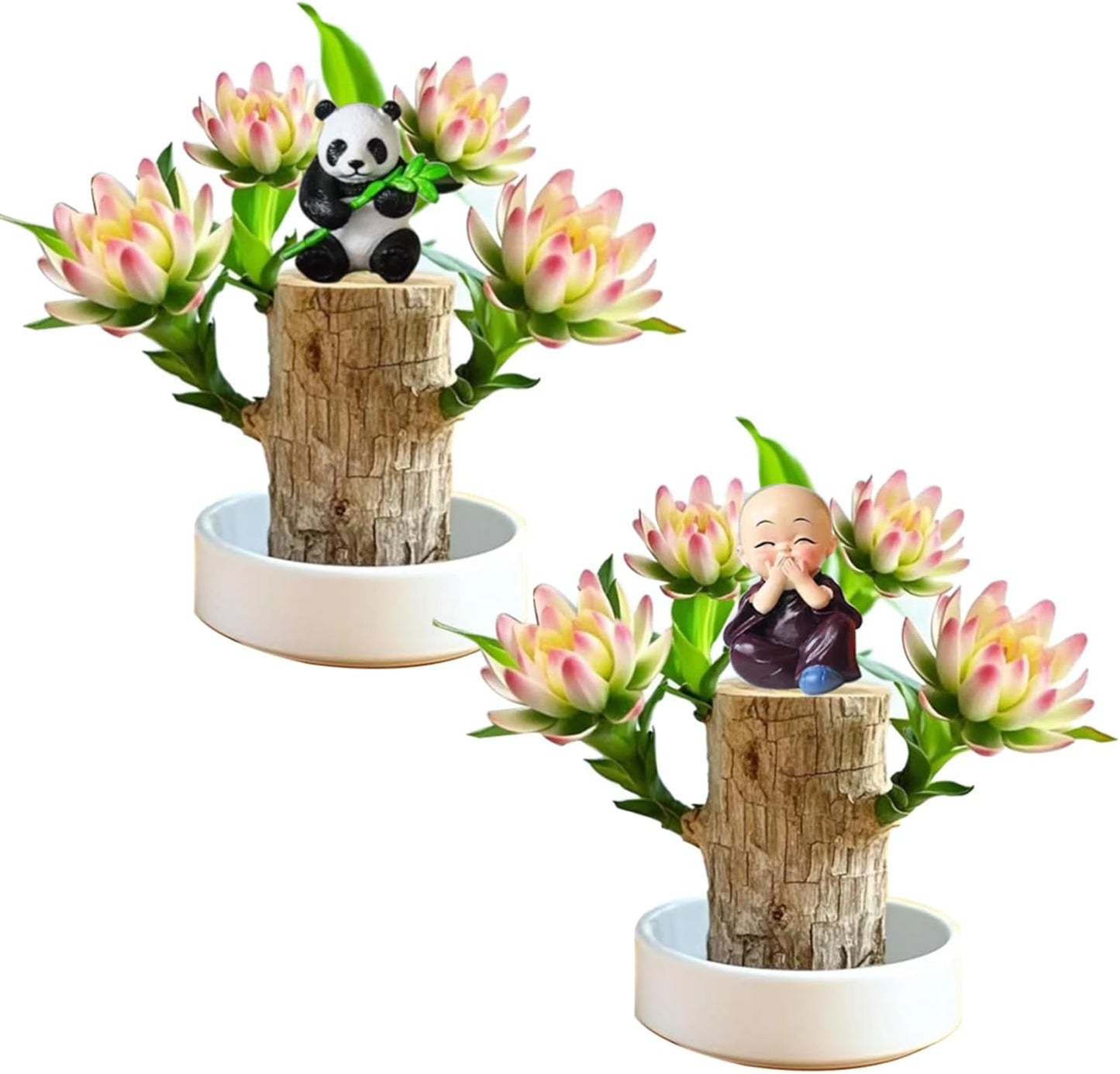 Brazilian Lucky Wood Plant Kit, Lucky Wood Doesn't Need to Wait to Sprout, Suitable for Home Office Desk Decor, Natural Air Cleaner (2L)