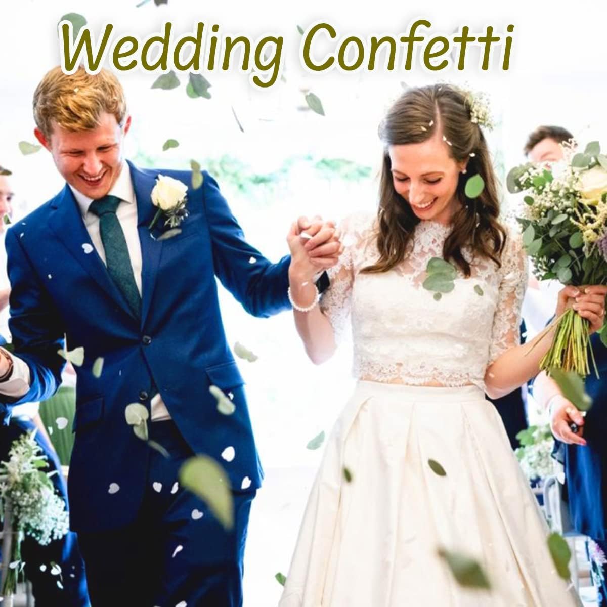 1600+Preserved Real Eucalyptus Leaves Small, Pure Natural Bulk Eucalyptus, Wedding Leaves Confetti for Anniversaries, Birthday, Graduation, Bridal Showers, Baby Shower Party Decor