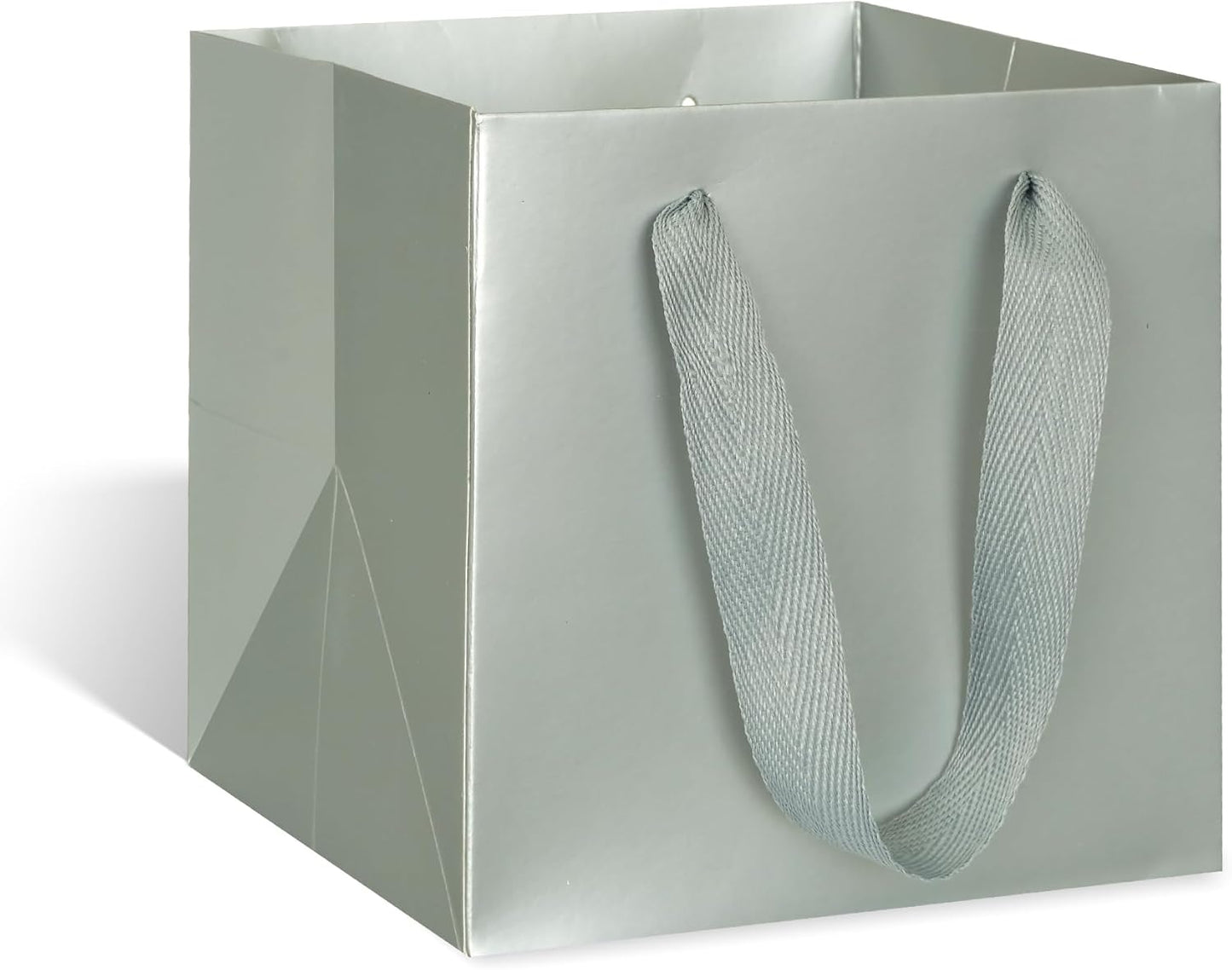 ADIDO EVA Silver Square Gift Bags Small Size Square Bottom Paper Bags with Handles for Party Favor, Shopping Packaging Bag (6x6x6 IN, 10 CT)