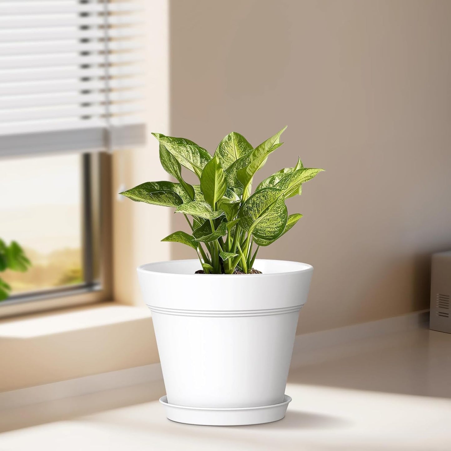 4 Inch Plastic Plant Pots with Drainage Holes and Trays – 8 Pack Small Nursery Pots for Indoor & Outdoor House Plants and Flowers, Seedling Starter Planters, Colorful