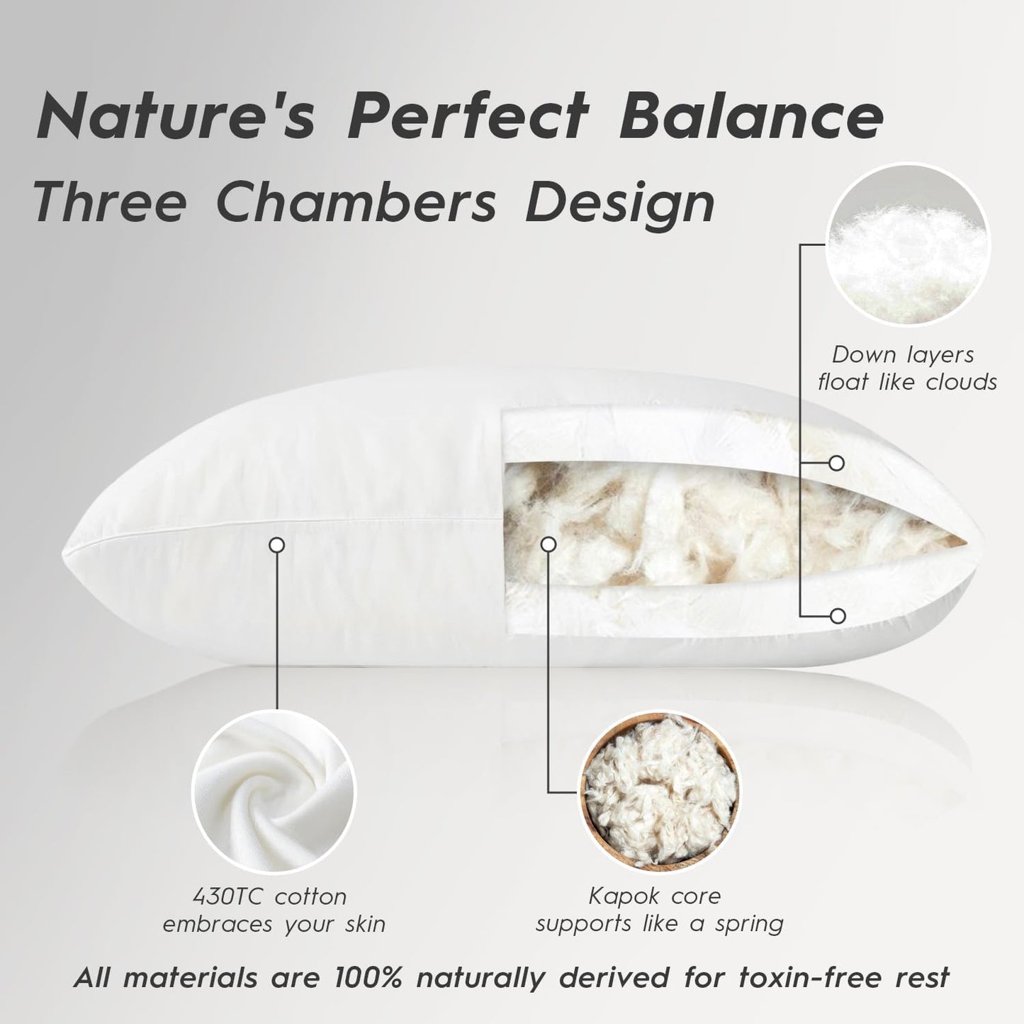 Globon Luxury Down Pillows King Size Set of 2 for Side Sleepers, 100% Cotton Shell Hotel Collection Bed Pillows for Sleeping, Firm Down Surrounded Feather Pillow 20" x 36"