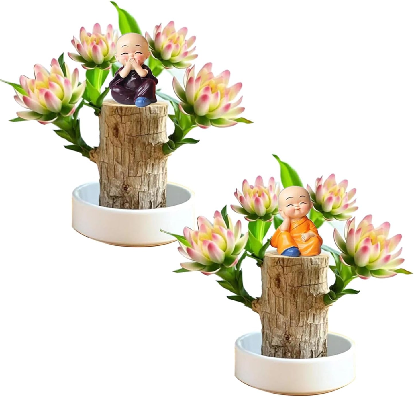 Brazilian Lucky Wood Plant Kit, Lucky Wood Doesn't Need to Wait to Sprout, Suitable for Home Office Desk Decor, Natural Air Cleaner (2E)