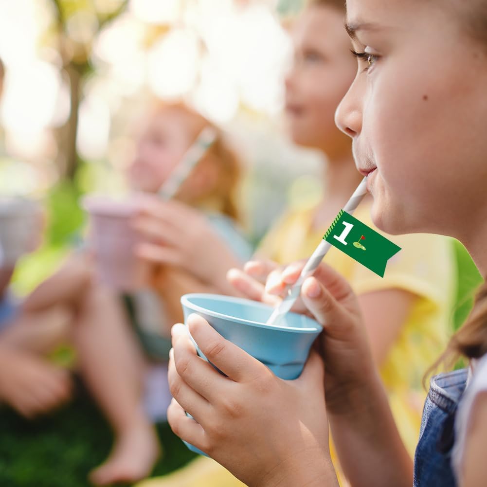 Golf Themed Birthday Party Straw Decor, 20 PCS Hole In One 1st Birthday Disposable Paper Cocktail Drinking Straw With Flag Tag for Baby 1st Birthday Party Decorations (Hole In 1)