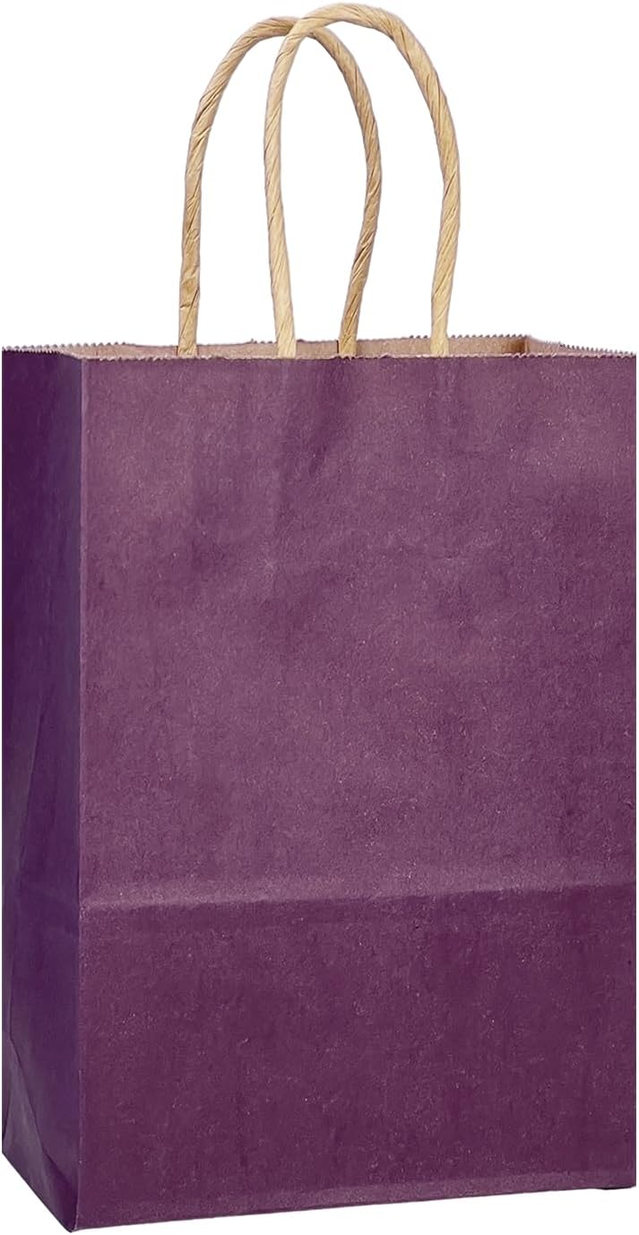 qiqee Aubergine Gift Bag with Handles Bulk 24Pcs Paper Bags -8.3"x6"x3. 15" Party Favor Bags - Solid Color