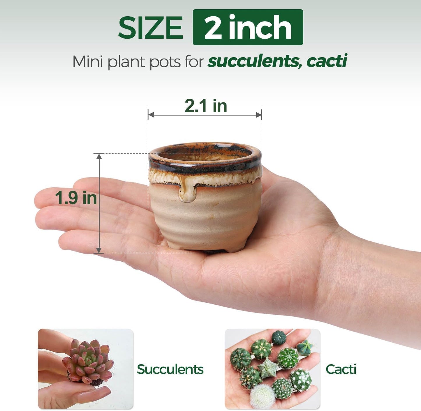 T4U Mini Ceramic Succulent Pots with Drainage - Set of 6, Tiny Pots for Plants, Home and Office Decor, Plant Lover Gifts for Women