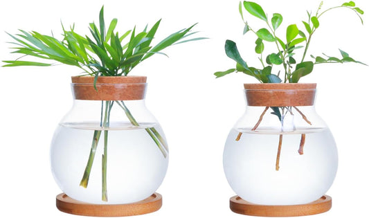 Tabletop Plant Propagation Station,Aquatic Plant Culture Glass Mini vase,with Wooden Dish，Gifts for Plant Lovers, Suitable for desks, House, Garden Decorations (2pcs)