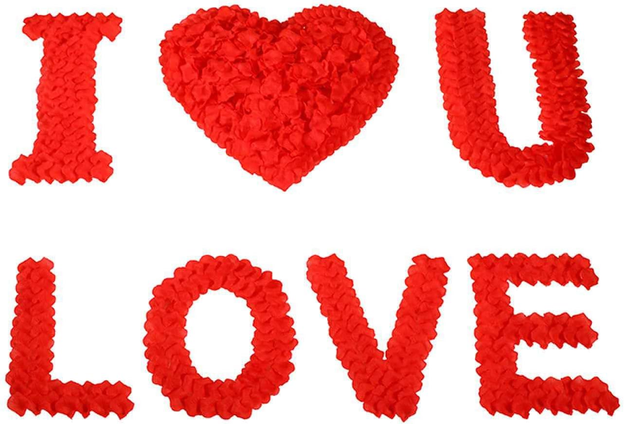 CODE FLORIST 2200 PCS Red Silk Rose Petals Wedding Flower Decoration