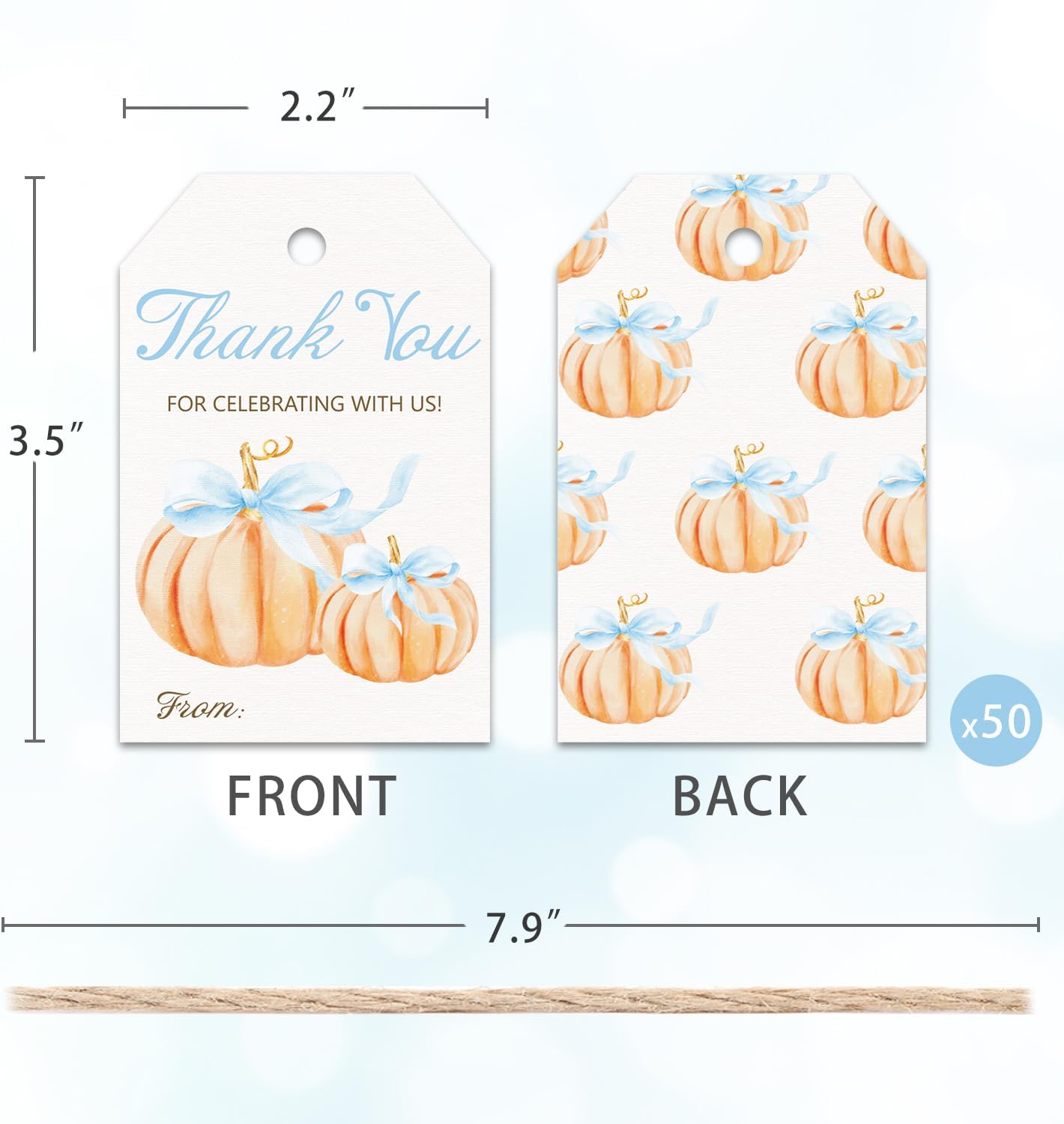50pcs Little Pumpkin Thank You Tags, Pumpkin Bow Fall Theme Favor Tags for Boy Coquette Baby Shower and Birthday Party Gift Wrapping Decoration (Blue Bow)