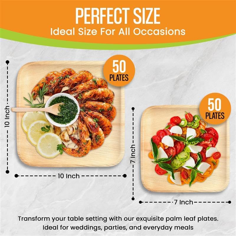 Raj Palm Leaf Plates Disposable Bamboo Plates 10 Inch & 7 Inch Square Party Pack (100 Pc) Compostable and Biodegradable - Better than Plastic & Paper Plate for Lunch, Birthday, Camping