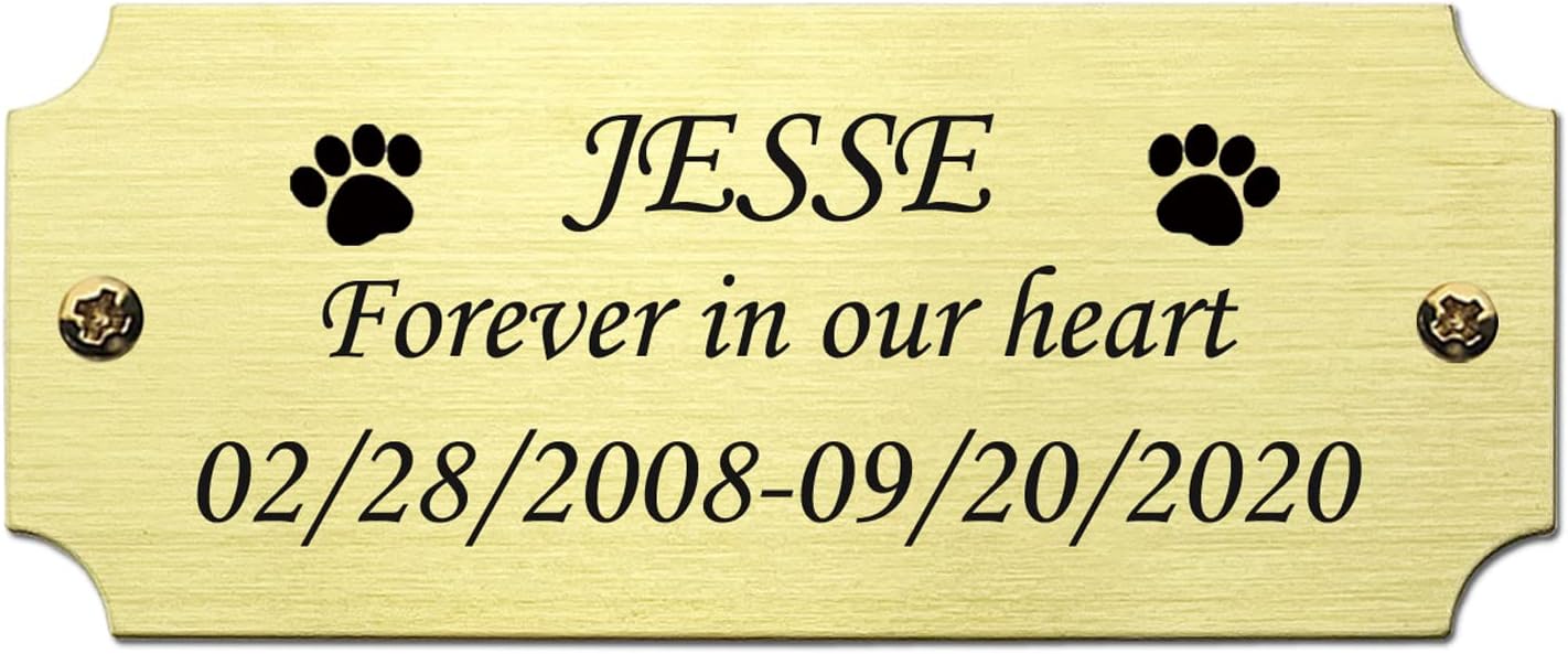 Size: 2.5" W x 1" H, Personalized, Custom Engraved, Brushed Gold Solid Brass Plate Picture Frame Name Label Art Tag for Frames, with Adhesive Backing or Screws - Indoor use only