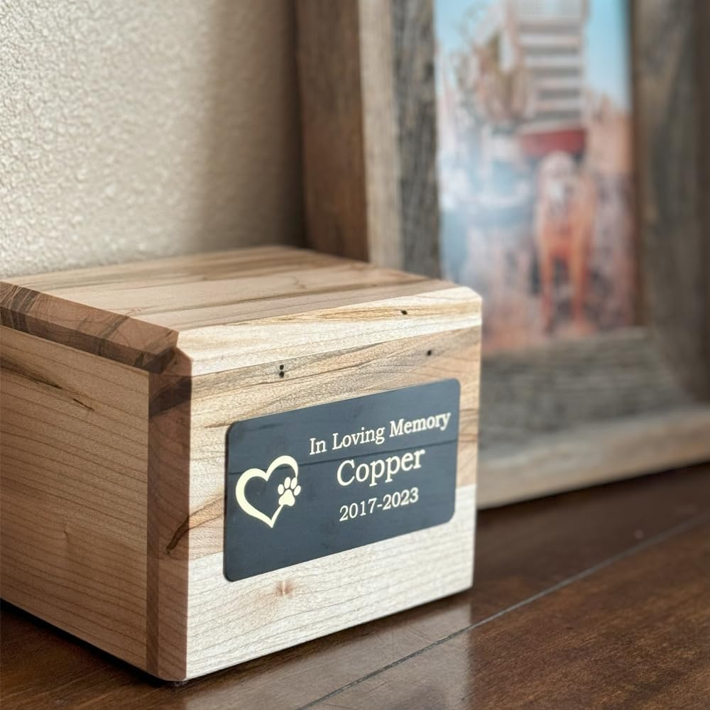 Custom Engraved Name Plates with Adhesive, Made in The USA, Personalized Pet Urn, Memorial Plaque, Picture Frame, Art Tag, Flag case (Gold Plate/Black Text, 2x4 Inch)