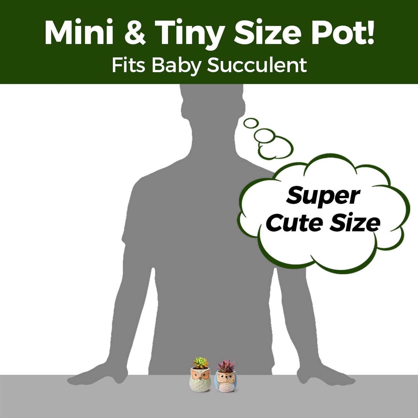 T4U 2.5 Inch Owl Ceramic Succulent Planter Pots with Drainage Hole Set of 6, Mini Cute Flower Pots Tiny Plant Holder Container Best for Home Office Garden Decoration Owl Gift Ideas