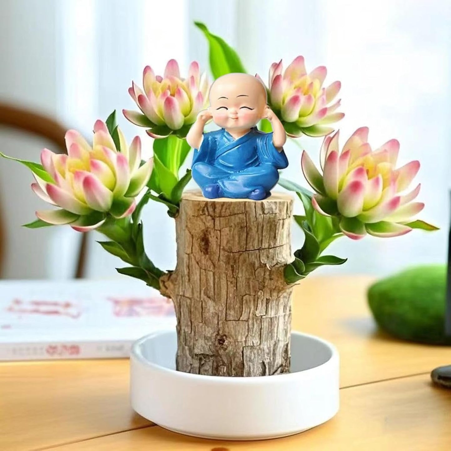 Brazilian Lucky Wood Plant Kit, Lucky Wood Doesn't Need to Wait to Sprout, Suitable for Home Office Desk Decor, Natural Air Cleaner (C)