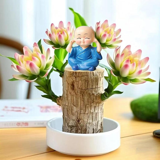 Brazilian Lucky Wood Plant Kit, Lucky Wood Doesn't Need to Wait to Sprout, Suitable for Home Office Desk Decor, Natural Air Cleaner (C)