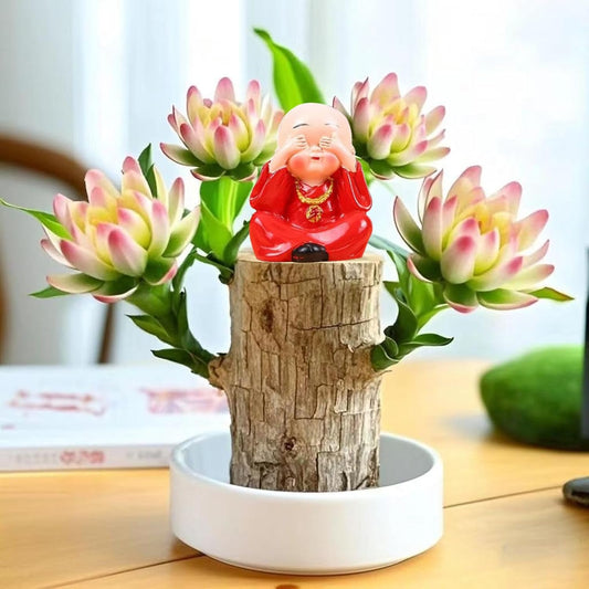 Brazilian Lucky Wood Plant Kit, Lucky Wood Doesn't Need to Wait to Sprout, Suitable for Home Office Desk Decor, Natural Air Cleaner (B)