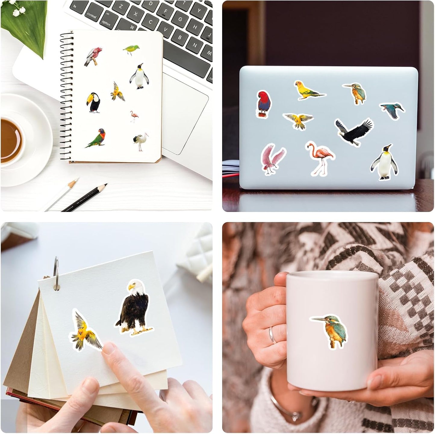 Bird Stickers 850 Count Tropical Bird Parrot Flamingo Peacock Hummingbirds Stickers Animal Party Favors Gifts Sticky Decor for Scrapbook Calendar Planner Gift Wrap Decor